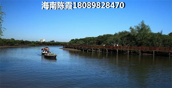 在昌江棋子湾购房机灵还是呆笨？